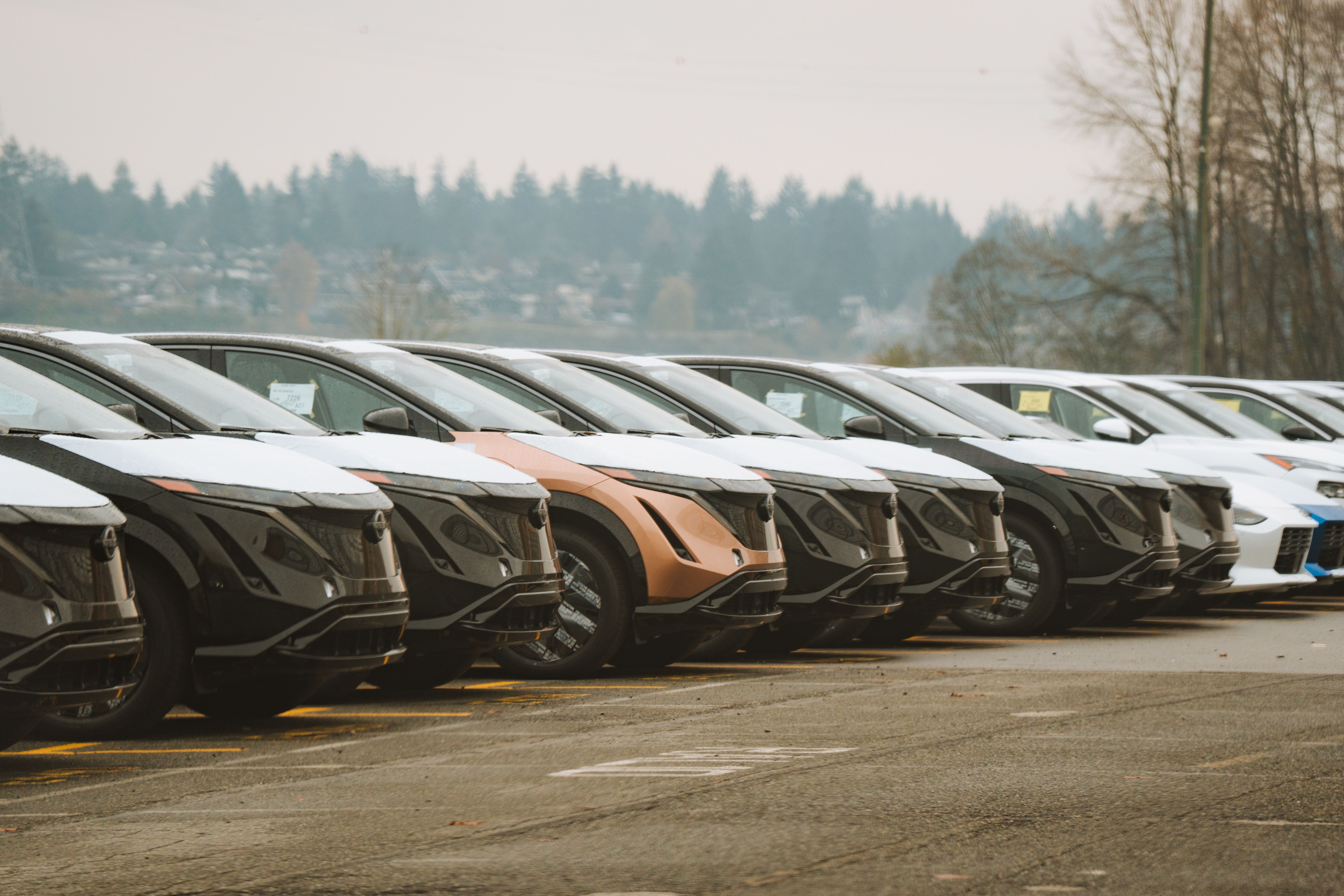 Parked SUVs at a dealership outside with a background of a forest